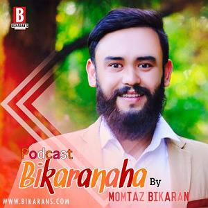 داستان پشتکار این روزها 005. نیروی تخیل و پشتکار| داستان مک دونالد| پادکست بیکرانه ها