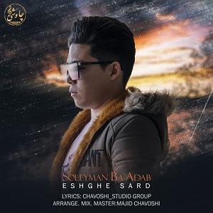 بی ادب عشق سرد