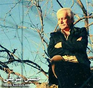 آهنگ اینجا آینده با صدای حسین شریفی وتم تاکی دانیشم