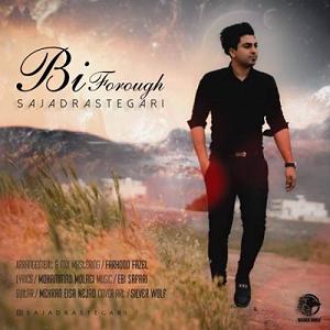 آلبوم فروغ بی فروغ