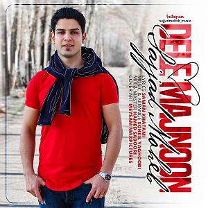 مونولوگ زیبای دل مجنون  دل مجنون