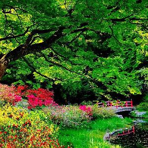 New Age بیکلام در سبک New age