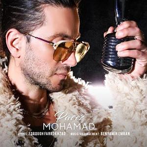 پاییز پاییز