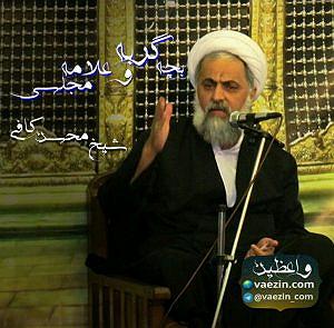 داستان پشتکار آقا گرگه داستان بچه گربه و علامه مجلسی (ره)