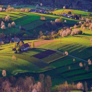 شاد قشقایی یالان