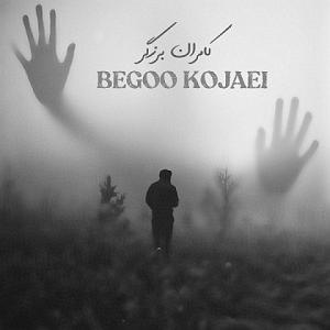 آلبوم بگو کجایی؟ بگو کجایی