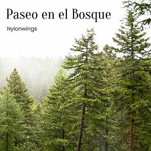 موسیقی برای قدم زدن در ساحل - 3 قدم زدن در جنگل