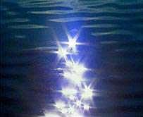 در انتظار تو  در انتظار تو ...