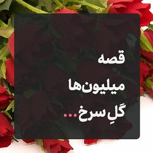 داستان زبون سرخ  قصه میلیون‌ها گل سرخ