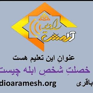 35 برنامه بستنی داغ  شادی های غمگین برنامه شماره 35 خصلت شخص ابله چیست