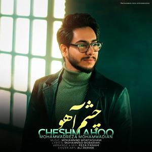 آلبوم ابرو کمان چشم اهو