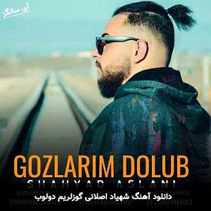 شهیاد گوزلریم دولوب