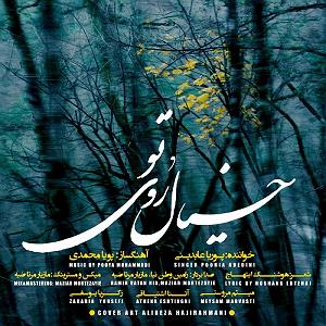 در انتظار تو  خیال روی تو