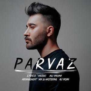 ali yasini parvaz remix
