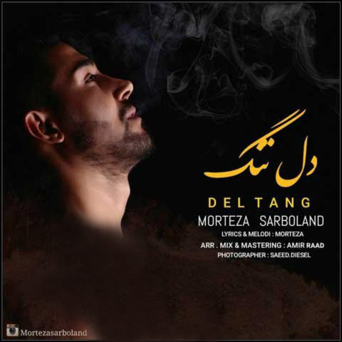 مونولوگ زیبای دلتنگ شما دل تنگ