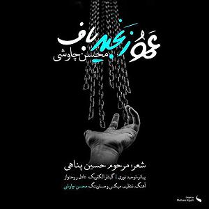 محسن چاوشی  ستمگر عمو زنجیر باف