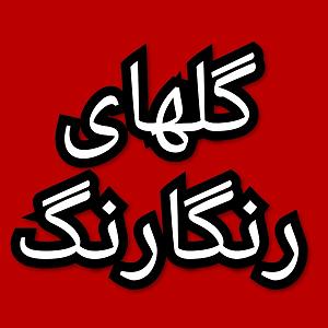 57 برنامه بستنی داغ  توکل در دنیای امروزی گلهای رنگارنگ برنامه شماره ۵۷۷