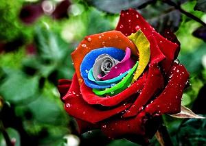 ÃÂ¾ÃÂ§ÃÂ¯ÃÂ©ÃÂ³ÃÂª ÃÂÃÂ§ÃÂ  ÃÂÃÂ¨ÃÂ§ÃÂª ترکی قاش قارا کیپریک قارا باخدیم او گوزل یارا