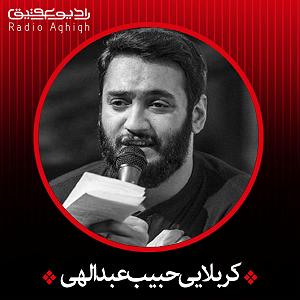 رضا یزدانی  من عادت دارم به روزای تلخ من چقدر با روزای قبلم فاصله دارم