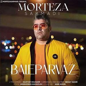 مرتضی سرمدی بال پرواز