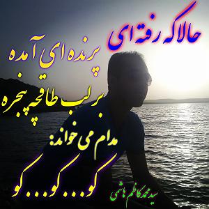 دکلمه شعر پدر شهریار دکلمه شعر (جایی دیگر)با شاعر