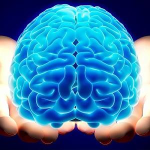 داستان مغز پوک پسته ی اخمو  مغز ؛ داستان شما 3️⃣