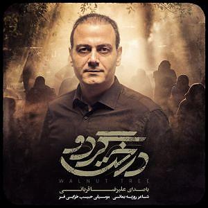 علیرضا قربانی  عقیق درخت گردو