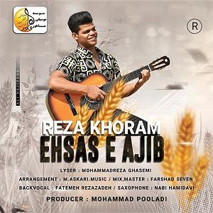 اخبار میانگاهی عجیب احساس عجیب