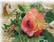 محمد معتمدی  شب که نسیم می وزد ز كوى یار می آید نسیم باد نوروزى