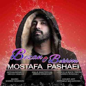 مصطفی پاشایی بزانو بخون