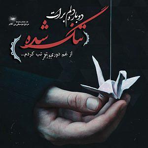 نمایشنامه ریتمیک پشمک شاه بی کلام نامه ی عشق از