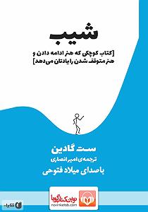 آهنگ ویولن میلاد امیرانصاری  کتاب صوتی شیب