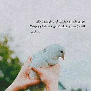 اهنگ قدک بلند  سارا / وی سارا وی سارا همه بش بگن ماشالا MP3