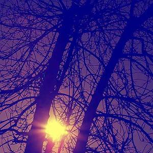 علیرضا قربانی  یار تو هستم تو که دلدار نبودی یار نبودی خب چرا موندی