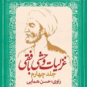 وحشی غریب غزلیات وحشی بافقی