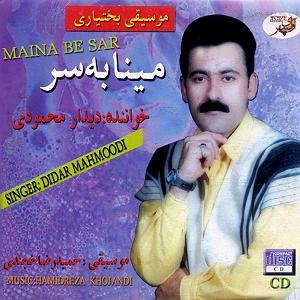 میناعلیزاده مینا به سر