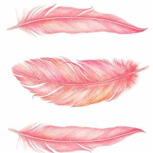 داستان دلخوشی های پدربزرگ پر بزرگ نارنجی