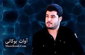 آلبوم یک تک سوار شتی سوار