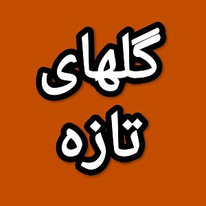 57 برنامه بستنی داغ  توکل در دنیای امروزی گلهای تازه برنامه شماره ۵۷