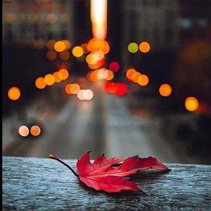 ترکی شاد ١٥(جوان)