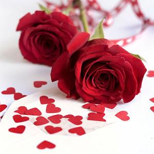 آلبوم ابرو کمان یارمان ابرو کمان چشاش خماره حشیشه حامد سنجابی و مسعود محمدی اصلی کامل + ...