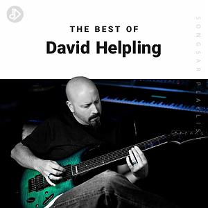 آلبوم Found اثر دوهنرمند David Helpling & Jon Jenkins from the smallest seed