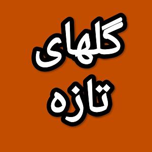 83 برنامه بستنی داغ   معنای حکمت گلهای تازه برنامه شماره ۸۳