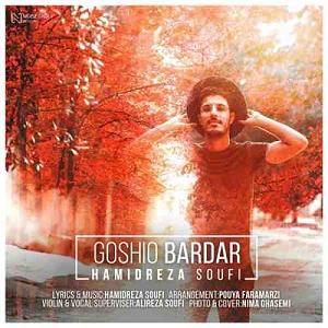 آلبوم صوفی گوشیو باردار