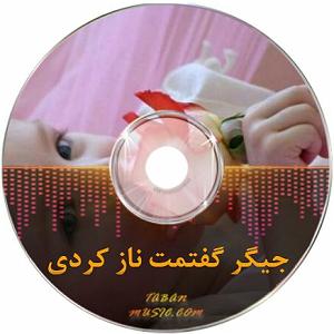 افغانی افغانی جیگر جیگر گفتمت ناز کردی با صدای مرد
