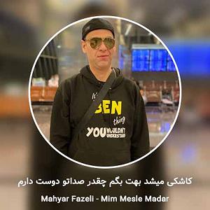 مهیار افاضلی کاشکی رو طاقچه دلت