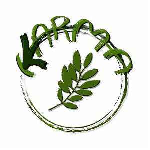 موزیکست شماره 6 : دلگرمی شماره‌ی شش  رویش