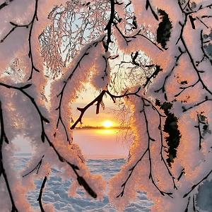 آلبوم خورشید آرزو ساراد  خورشید آرزوی منی  فریدون مشیری