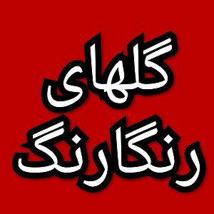 57 برنامه بستنی داغ  توکل در دنیای امروزی گلهای رنگارنگ برنامه شماره ۵۷۶