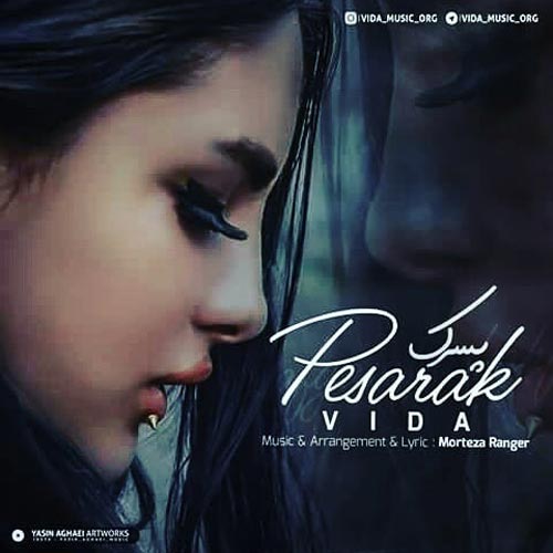 داستان پسرک تنبل ویدا